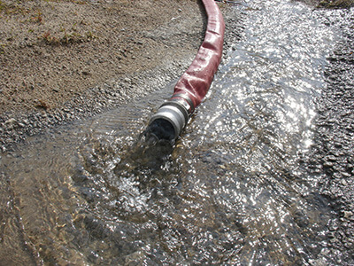 Bild: Feuchter Keller